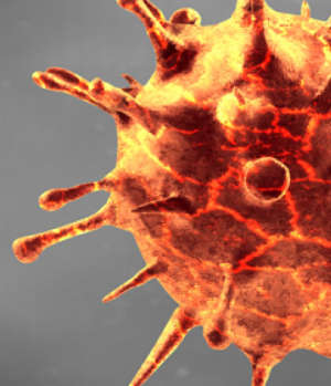 COVID Webinar, Self-study and other CPE Resources